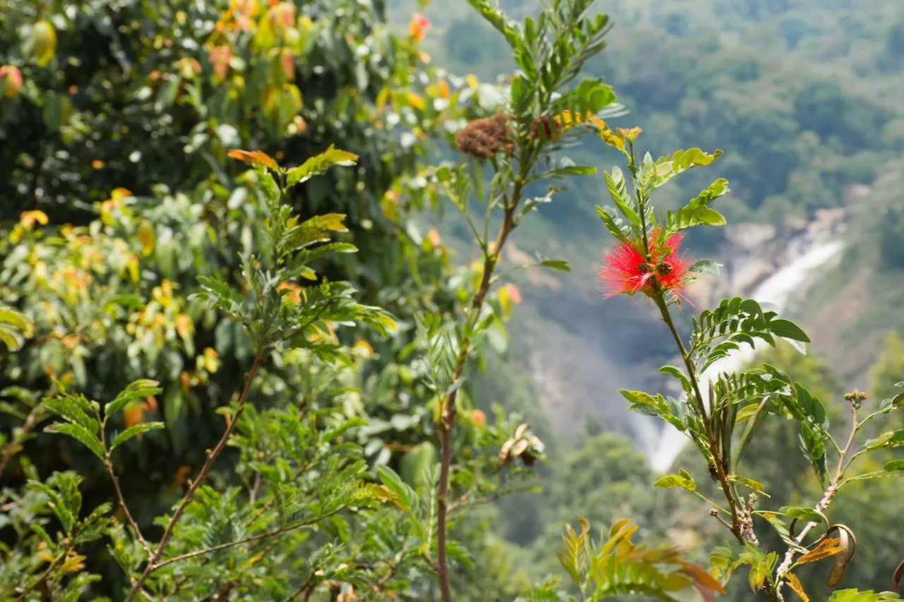 Aranyaka Resorts Munnar India